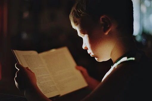 Chłopak czyta książkę - pixabay.com