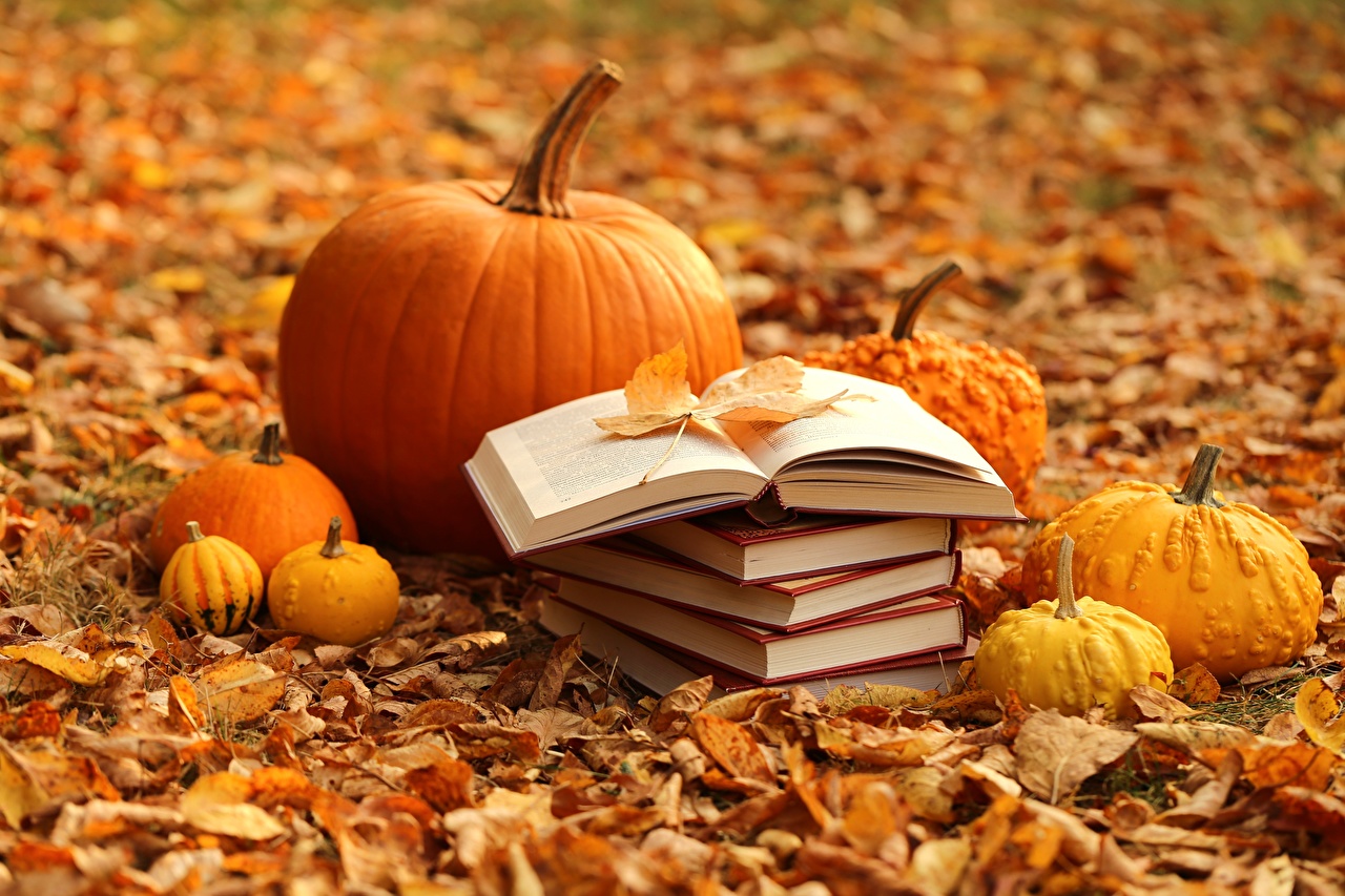 Stos książek ułożony na jesiennych opadłych liściach w tle kilka mniejszych i większych dyni